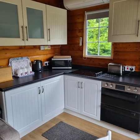 Mountain View Log Cabin In Snowdonia Nr Coed Y Brenin Tanygrisiau Luaran gambar