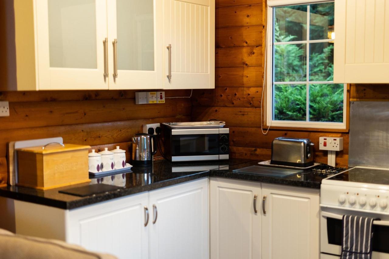 Mountain View Log Cabin In Snowdonia Nr Coed Y Brenin Tanygrisiau Luaran gambar