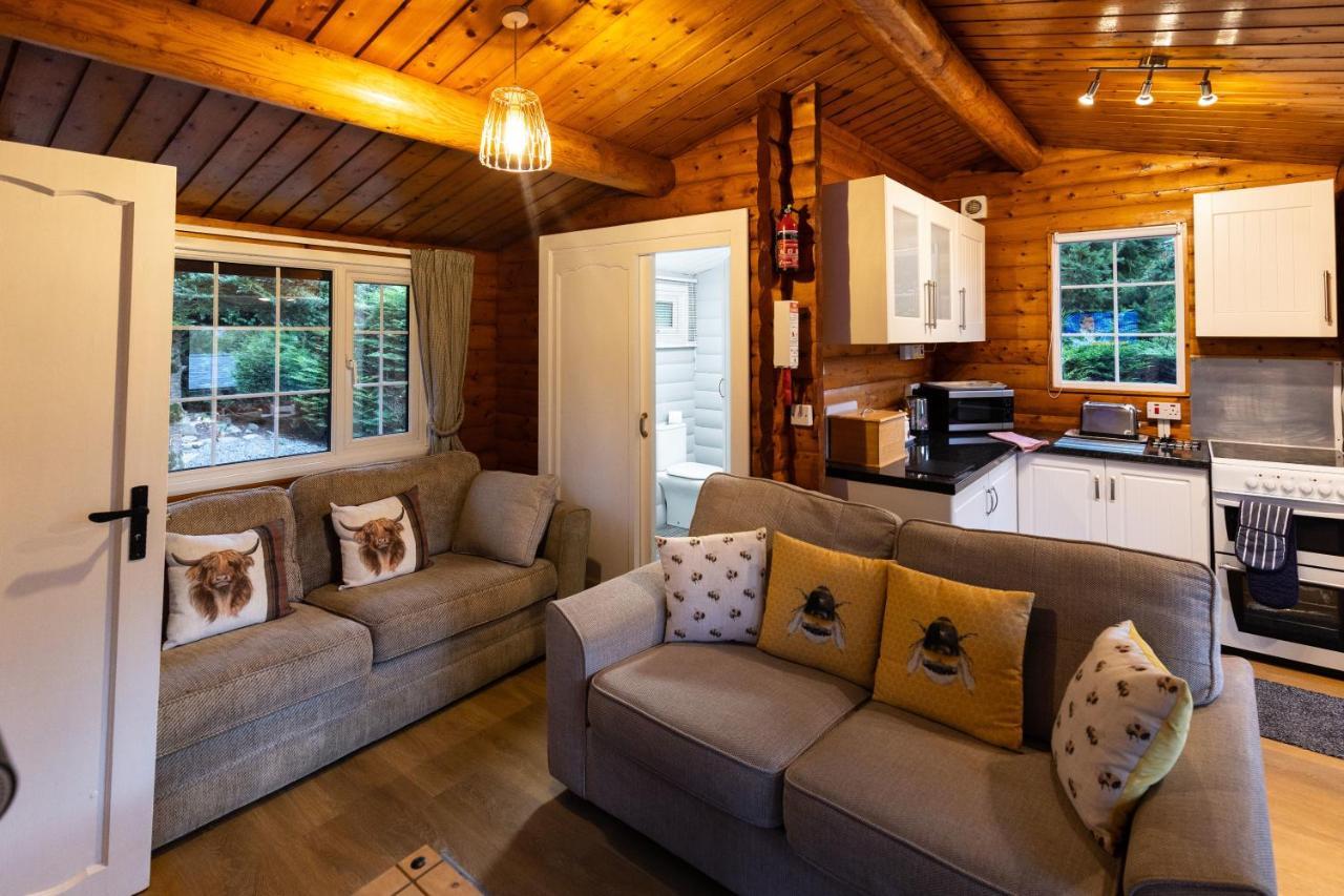 Mountain View Log Cabin In Snowdonia Nr Coed Y Brenin Tanygrisiau Luaran gambar